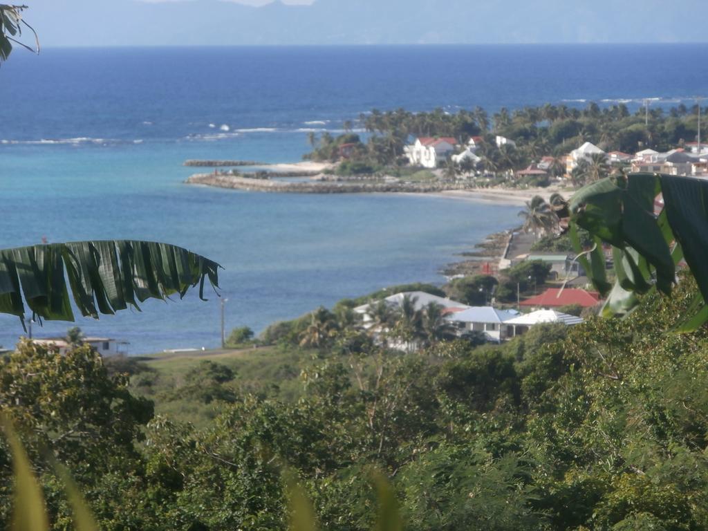 Villa Alizea Capesterre Exterior foto